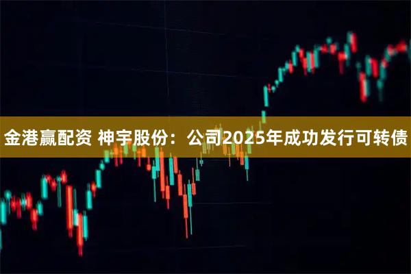 金港赢配资 神宇股份:公司2025年成功发行可转债