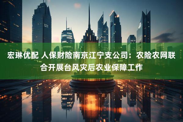 宏琳优配 人保财险南京江宁支公司：农险农网联合开展台风灾后农业保障工作